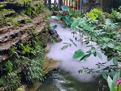 -凤来栖·净庭院·火锅(欧尚店)