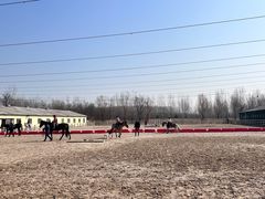 -北京群众马术培训基地
