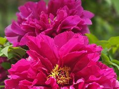 -国家植物园南园