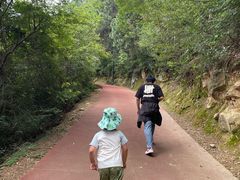 -敬亭山风景名胜区