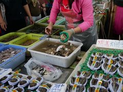 -南沙十九涌渔人码头-南门