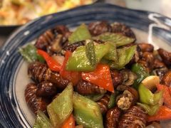 炒蚕蛹-渔娘渔家丹东海鲜(东直门店)