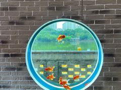 -珠海圆明新园