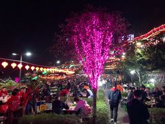 -枇杷园食为鲜火锅(南山店)