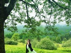 -硗碛藏寨·神木垒景区