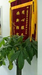 -蕾特恩专业祛痘国际连锁