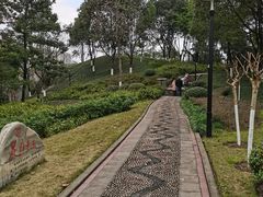 -重庆彩云湖湿地公园