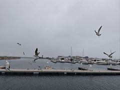 -大连海昌东方水城