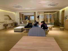 -猫腻·猫咖·撸猫馆(星光大道店)