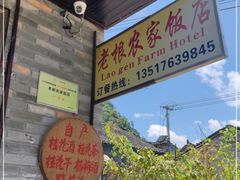 -老根农家饭店