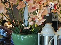 -八府香鸭·啫啫煲(华山路店)