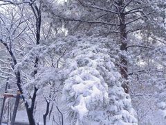 -北陵公园