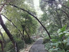 -罗三妹山