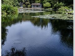 -杭州植物园