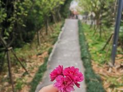 -福建鲤鱼洲酒店