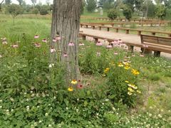 -汉长安城未央宫国家考古遗址公园