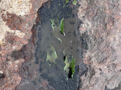 -二一九公园