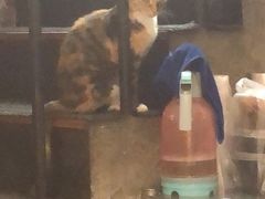 -三生小馆(亭知路店)