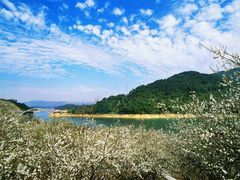 -广州市流溪河国家森林公园