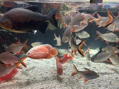 -太平洋海底世界