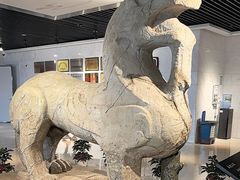-宣城市博物馆