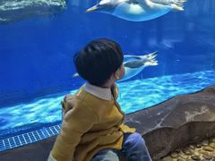 -华夏文旅海洋公园