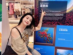 -BHG Mall(顺义店)