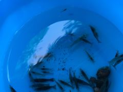 -重庆彩云湖湿地公园