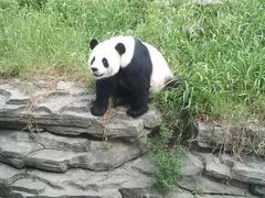 -宁波野生动物园