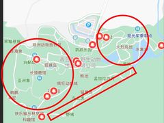 -青岛森林野生动物世界