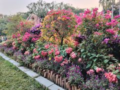 -中国科学院华南植物园