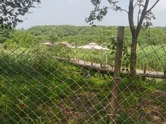 -同里国家湿地公园