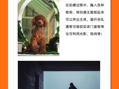 -CGWANG王氏教育(上海校区)