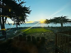 -香港东海海鲜酒家