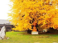 -终南山国家森林公园