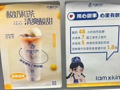 -西琳姑娘·新疆冰淇淋酸奶茶(南开大悦城店)