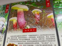 -江川野生菌火锅铜锅鱼(贵清火锅店)