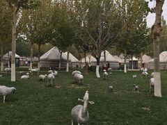 -九十九顶毡房(阜石路店)