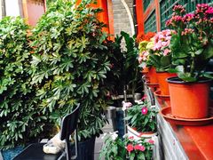 -百好乐宠物友好餐厅(朝外大街店)