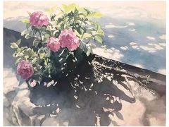 -黑骏画室·深圳美术中高考黄埔军校