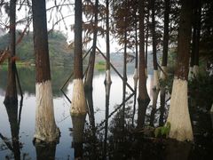-重庆彩云湖湿地公园