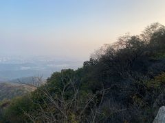 -紫金山山顶公园