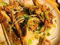 -胡桃里音乐酒馆(石家庄店)