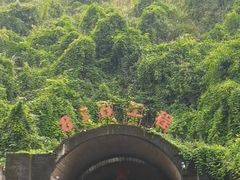 -816工程景区