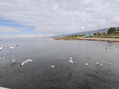 -青海湖国家重点风景名胜区