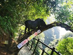 -蝶舞清江·恩施地心谷景区