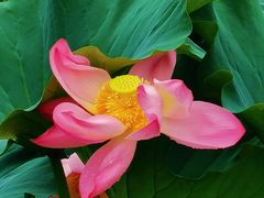 -天津东丽湖风景区