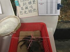 -龙海鲜螃蟹王(宏茂桥店)