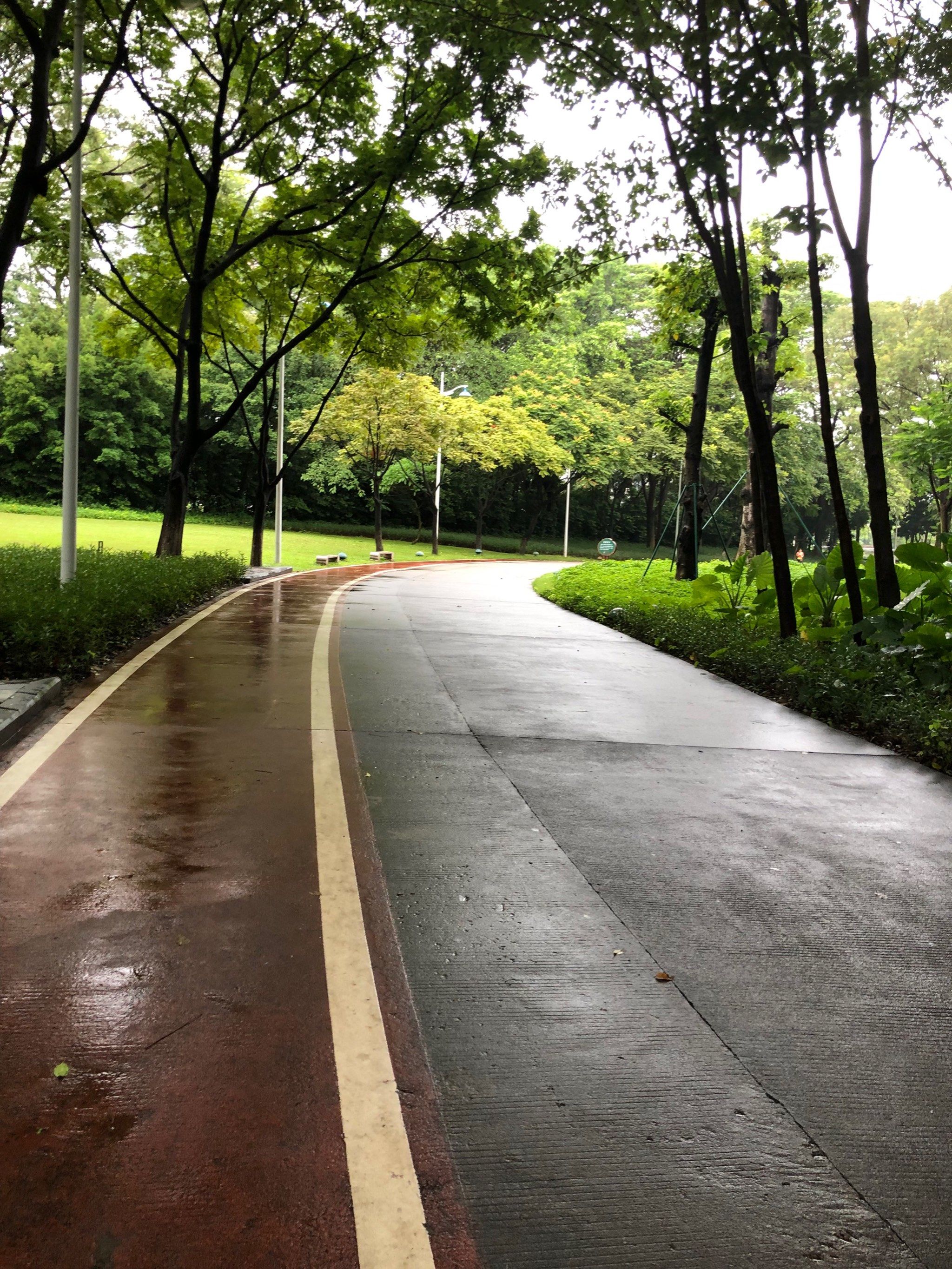 天天领红包刚刚下完雨的早晨,空气超级清