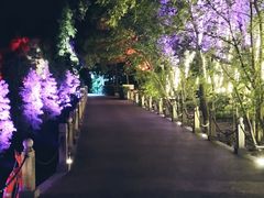 -天目湖山水园